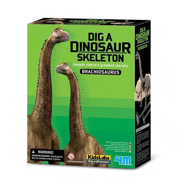 4m - kidzlabs - uitgraven - brachiosaurus