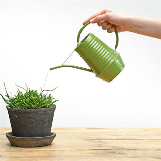 Esschert design binnengieter groentinten assorti