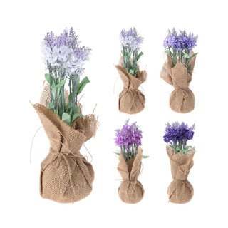 No brand plantje lavendel in jute zak
