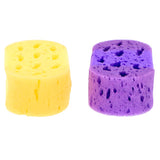 Lifetime badspons 2 stuks 3 assorti
