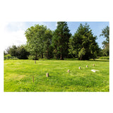 Outdoor play houten kubb game official
