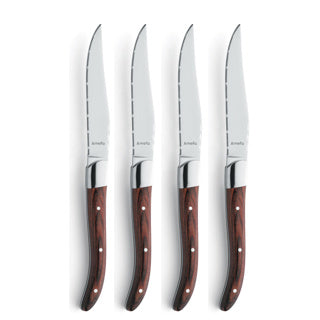 Amefa steakmessen 4 delig