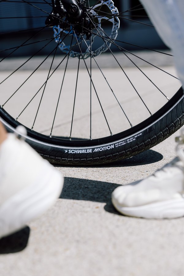 Schwalbe big apple tires 60-559 b b+rt rg