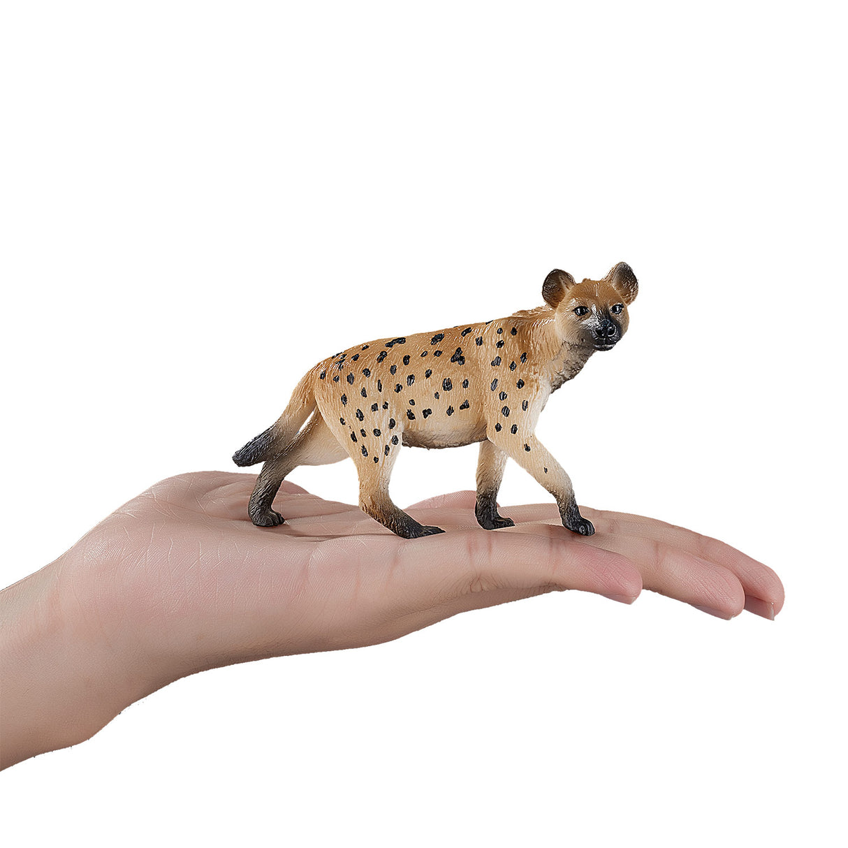 Mojo Wildlife Hyena 387089