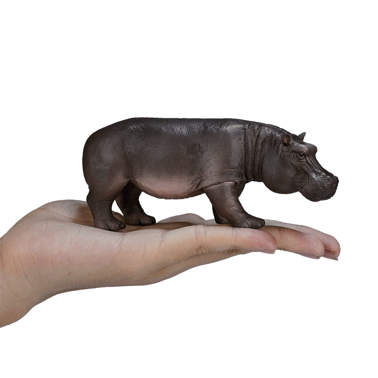 Mojo Wildlife Nijlpaard Vrouw 387104