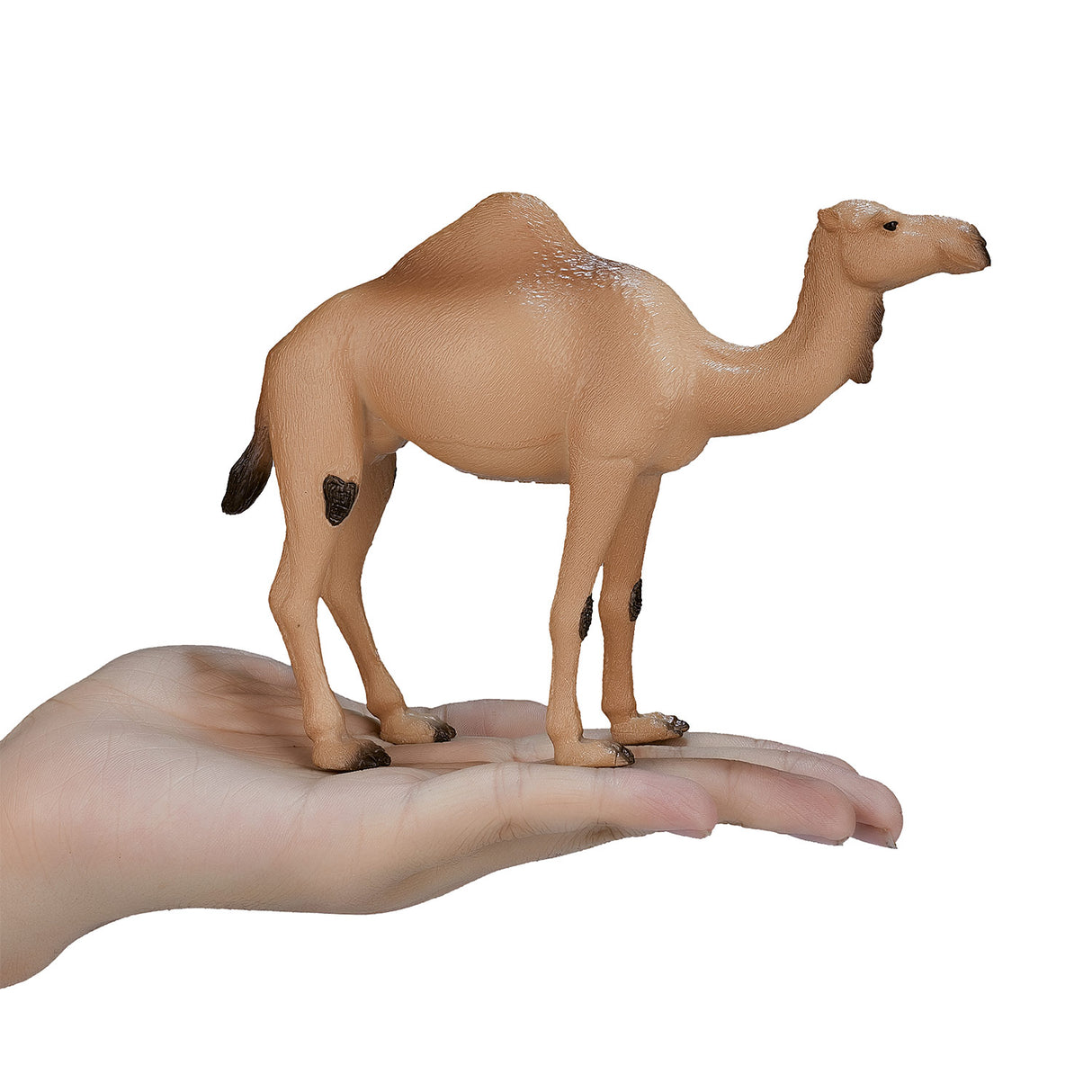 Mojo Wildlife Arabische Kameel 387113