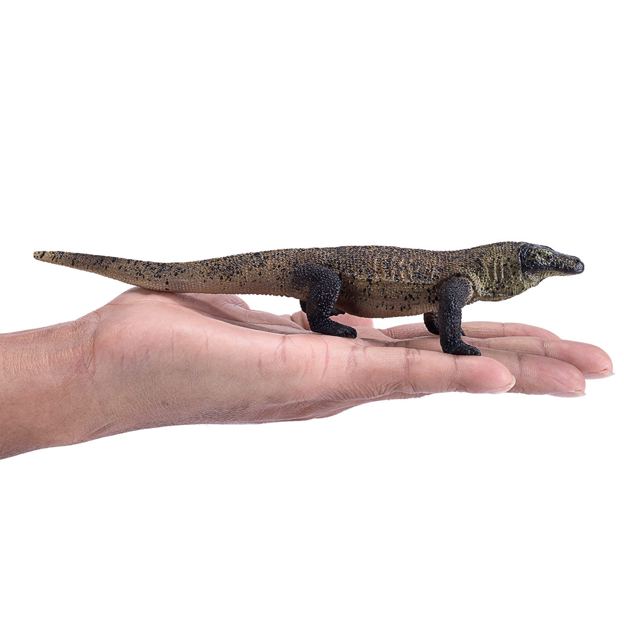 Mojo Wildlife Komodovaraan 381011