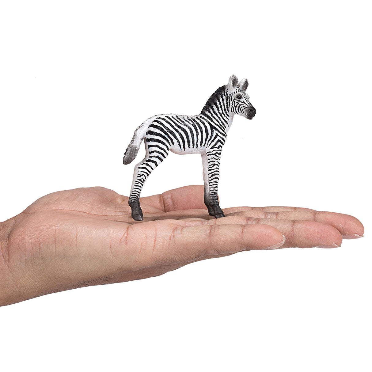 Mojo Wildlife Zebra Veulen 387394
