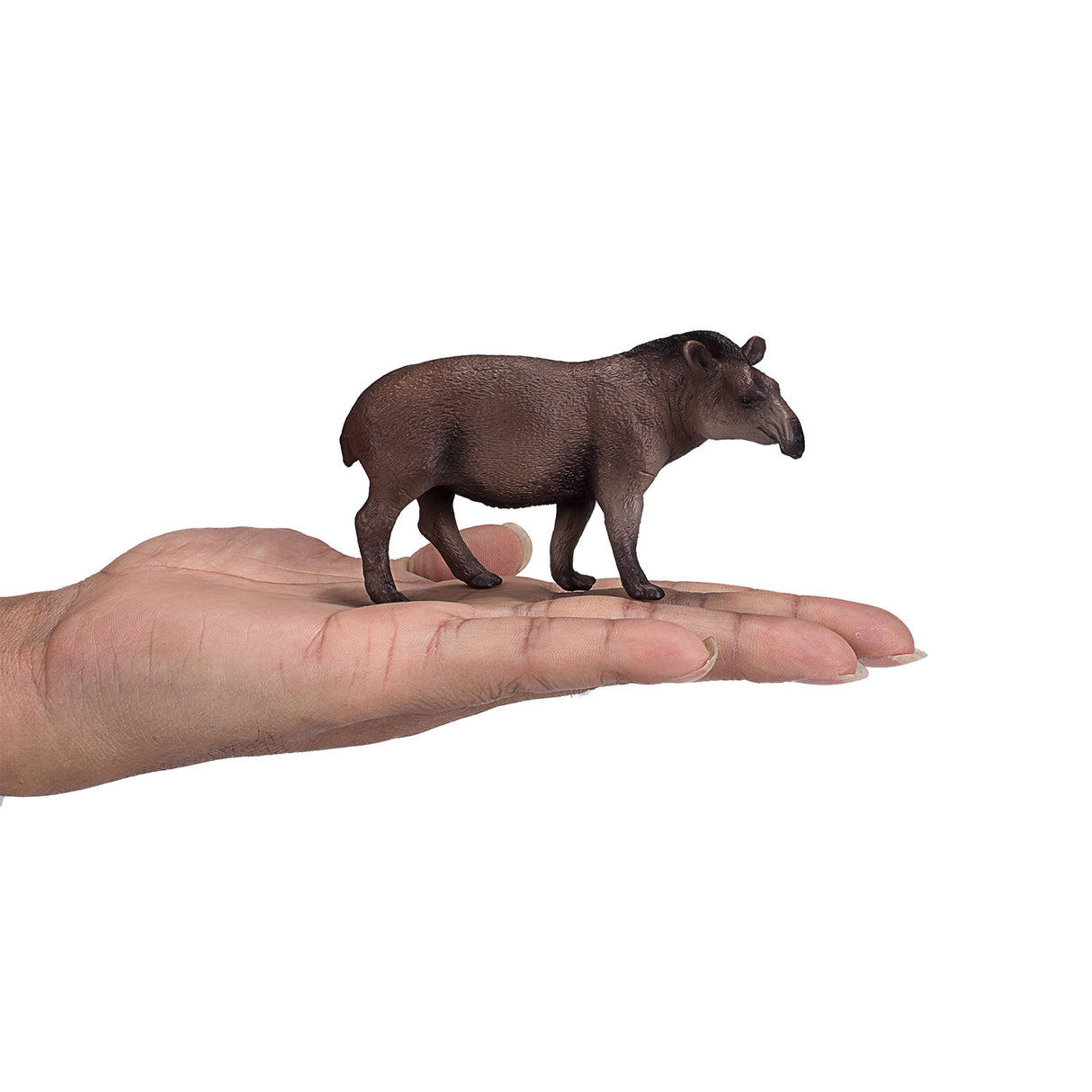 Mojo Wildlife Braziliaanse Tapir 381023