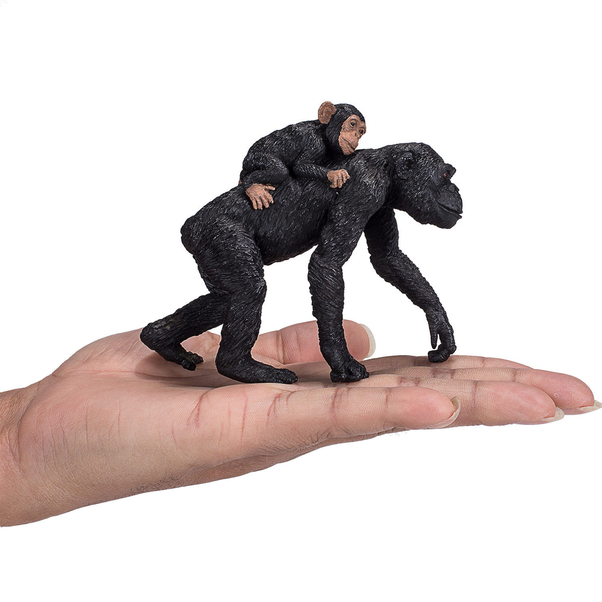 Mojo Wildlife Chimpansee 387265
