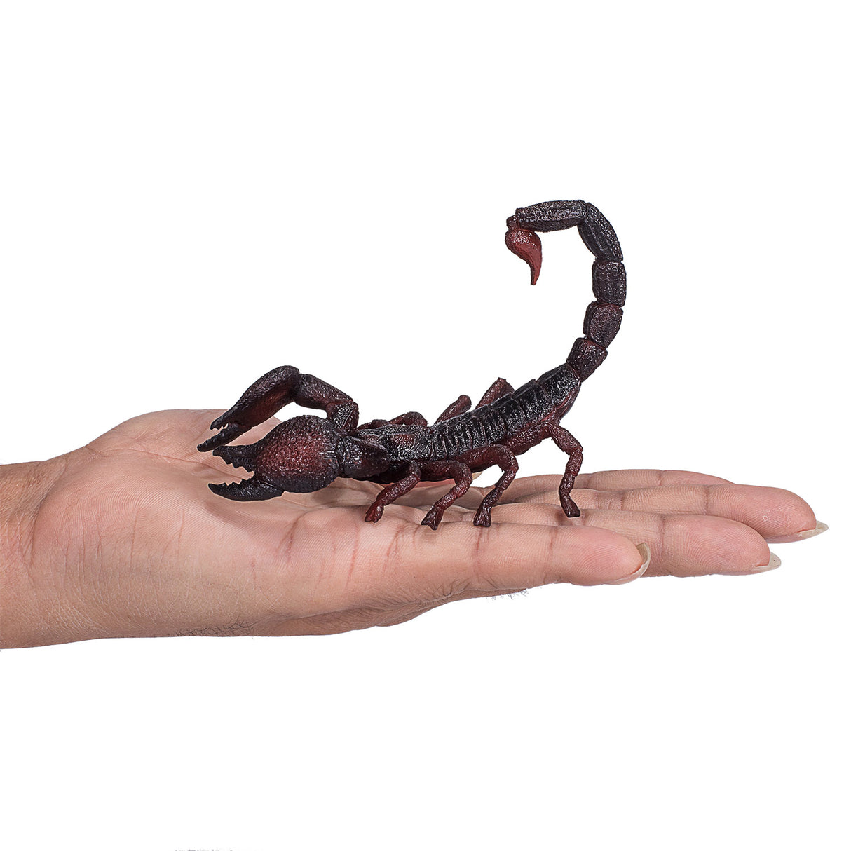 Mojo Wildlife Keizer Schorpioen 387133