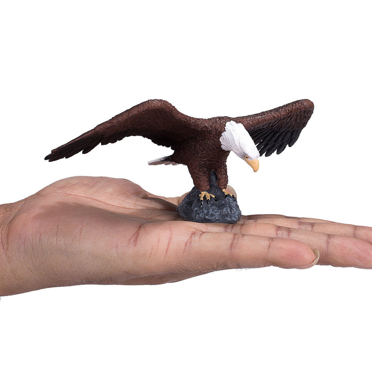 Mojo Wildlife Amerikaanse Zeearend 387027
