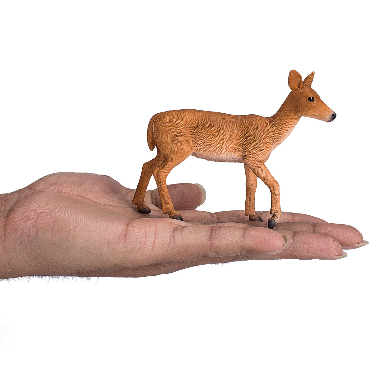 Mojo Wildlife Witstaarthert 387185