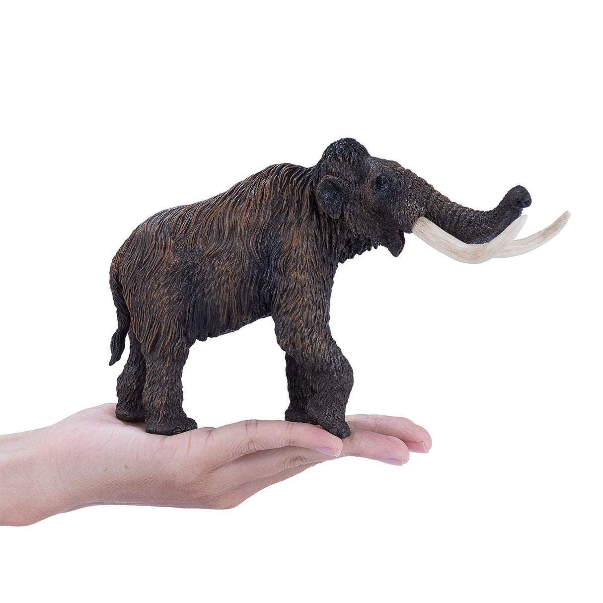 Mojo Prehistorie Wolharige Mammoet 381049