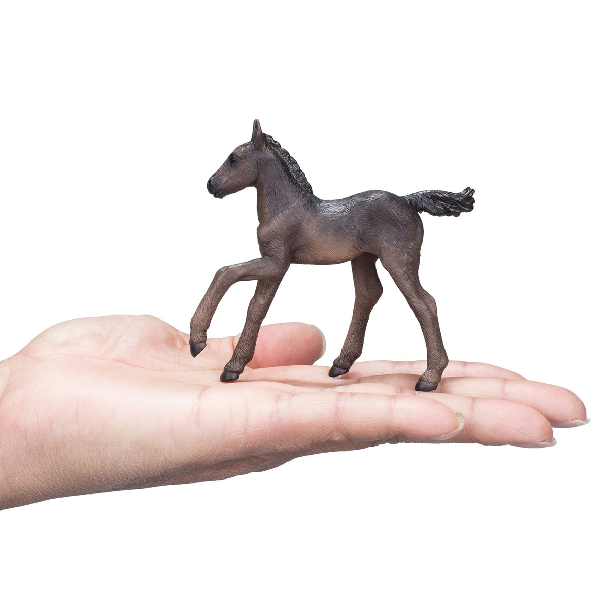 Mojo Horse World Arabisch Veulen Zwart 381015