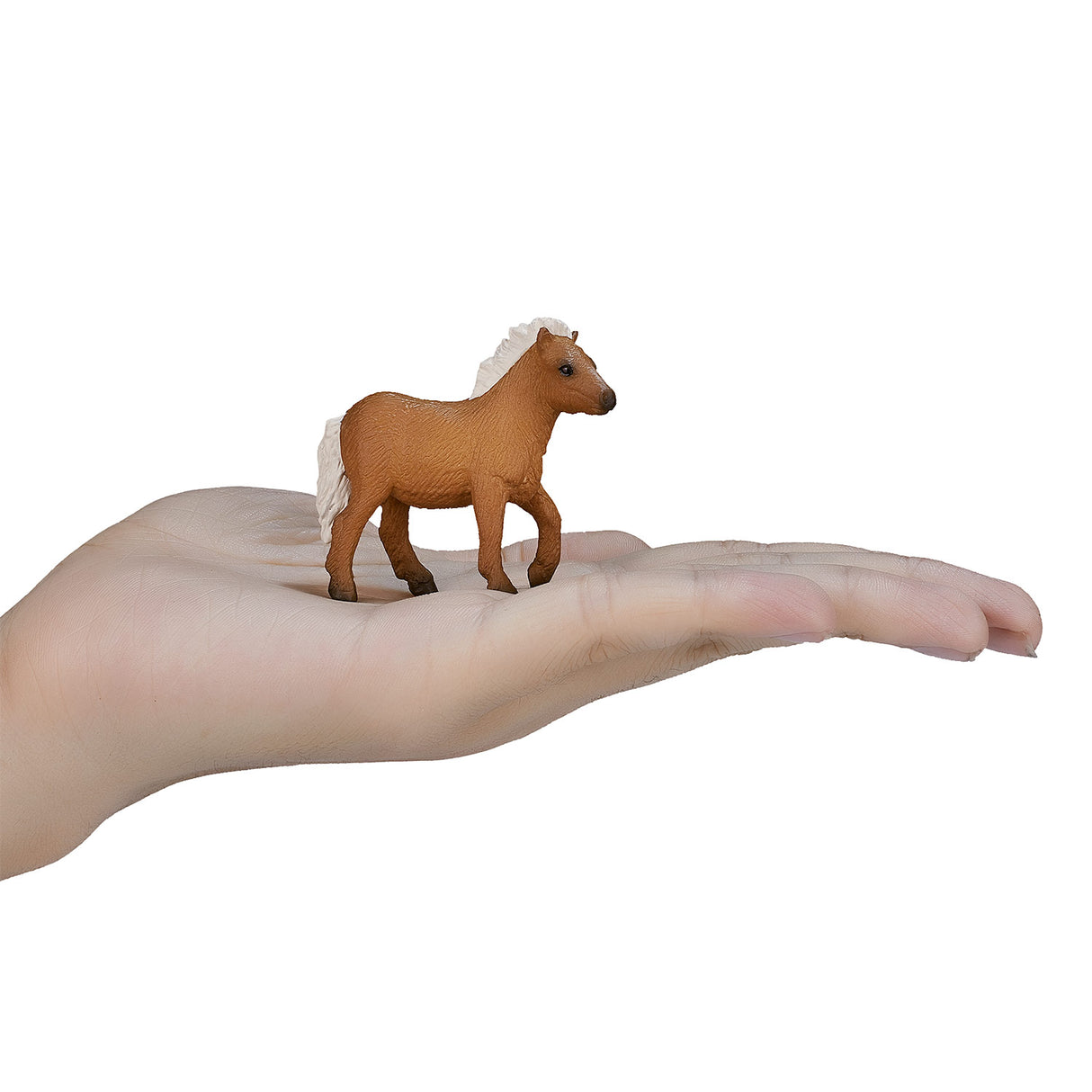 Mojo Horse World Shetland Pony Veulen 387232