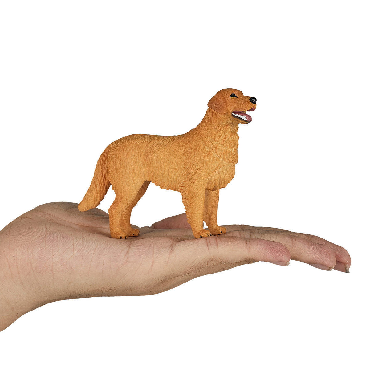 Mojo Farmland Golden Retriever 387198