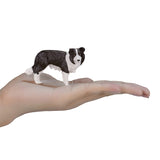 Mojo Farmland Border Collie 387203