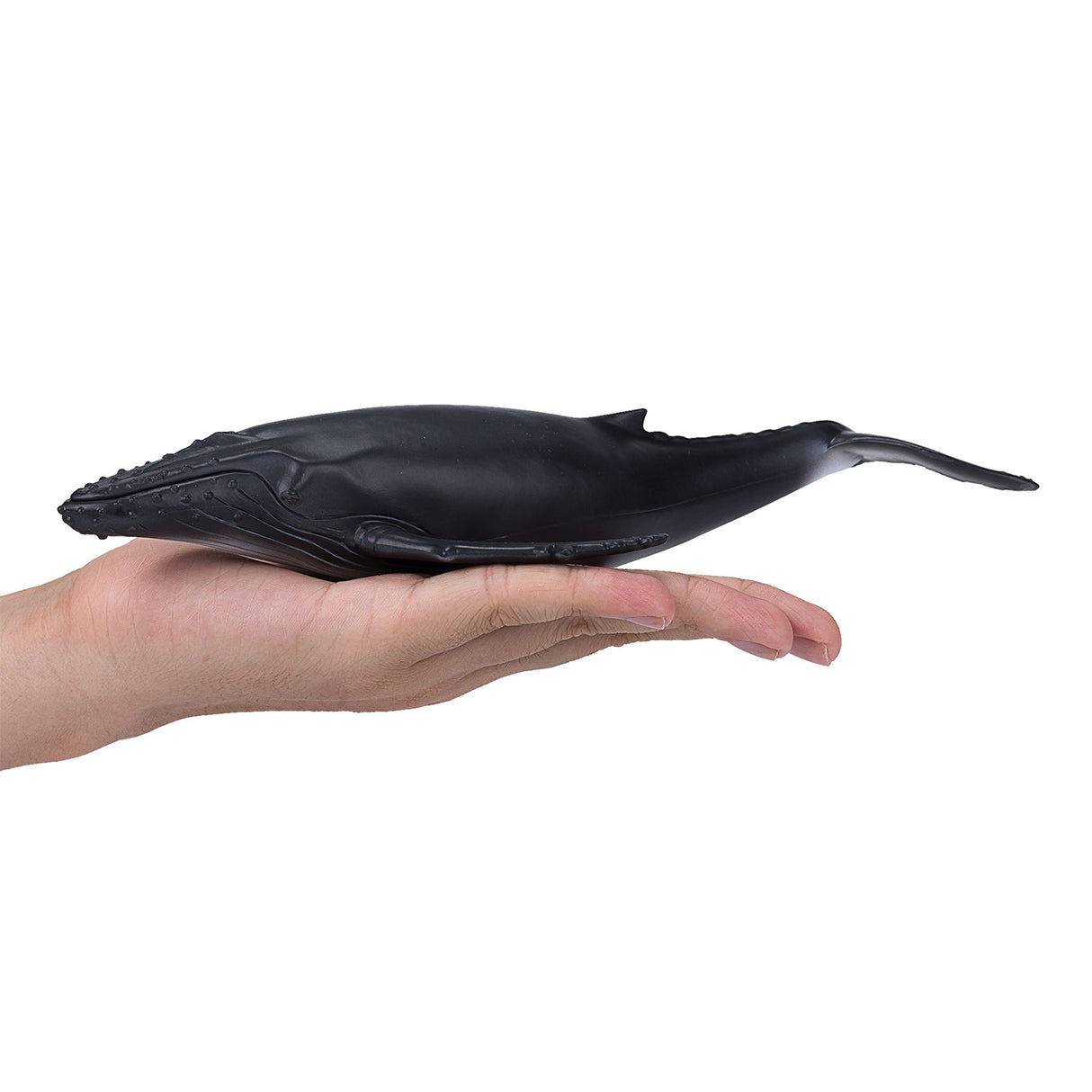 Mojo Sealife Bultrug 387119