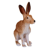 Mojo wildlife haas - 381072