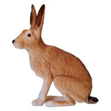 Mojo wildlife haas - 381072