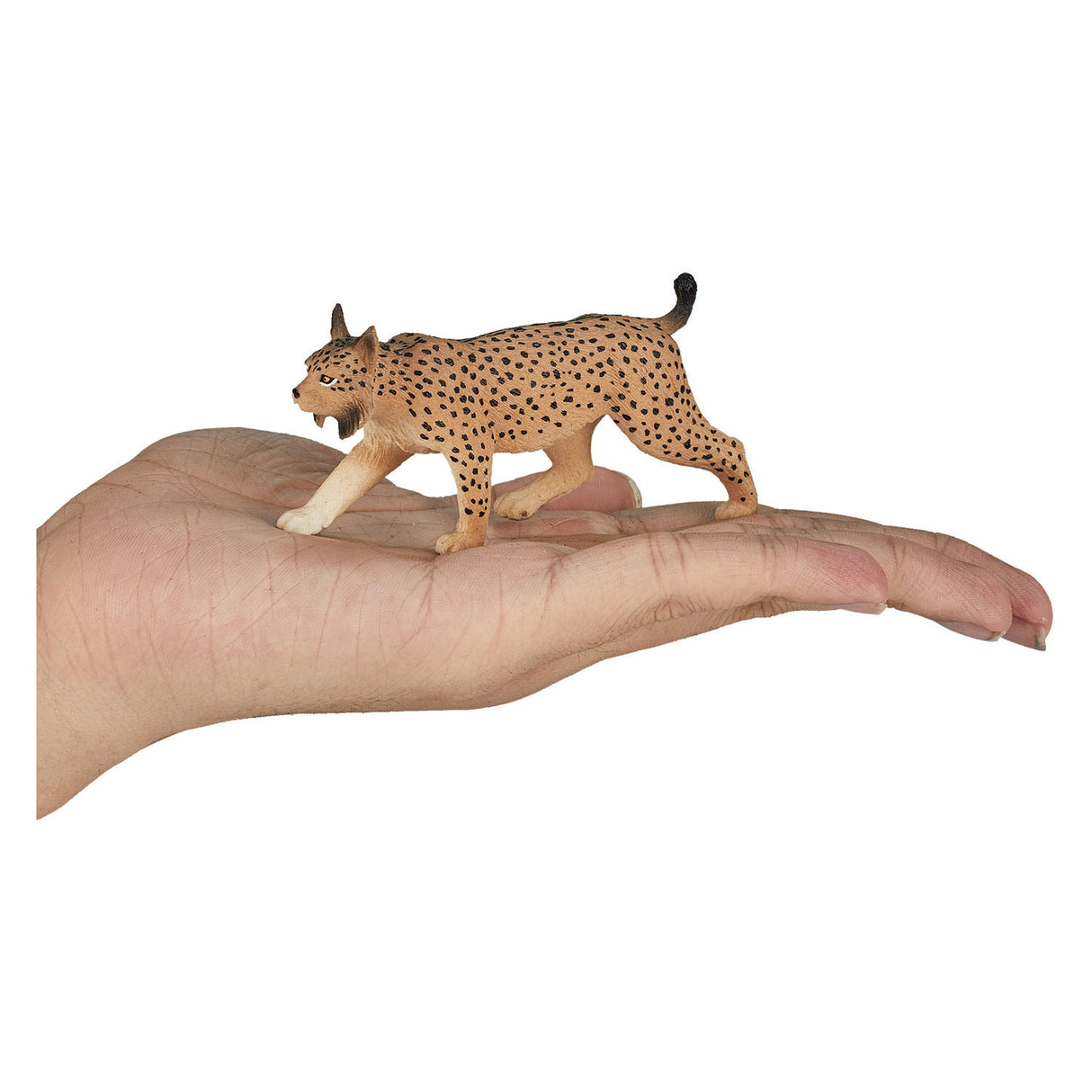 Mojo wildlife iberische lynx - 387064