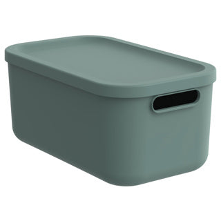 Rotho decoratie opbergbox albula light 12 l mistletoe groen
