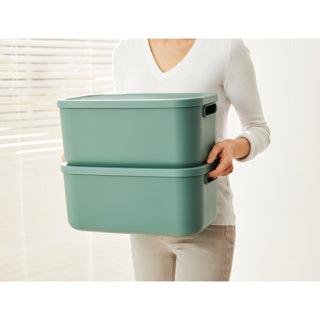 Rotho decoratie opbergbox albula light 12 l mistletoe groen