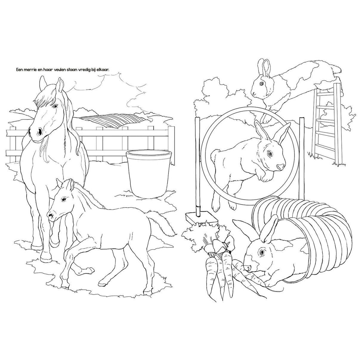 Selecta kleurboek boerderijdieren