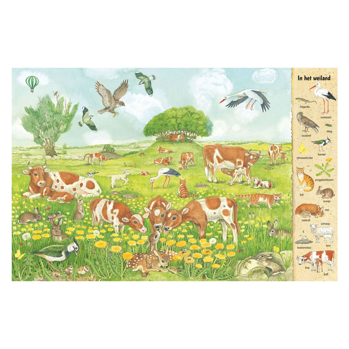Deltas kijk- en zoekboek - in het veld
