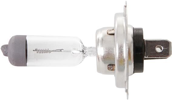 Corexx hoofdlamp car lamp 12v 55w h7 base: px26d