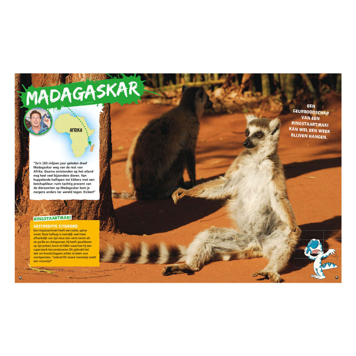 Boek specials nederland bv wild van freek op reis door afrika boek