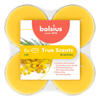 Bolsius maxilichten clear cup 8u true scents mimosa