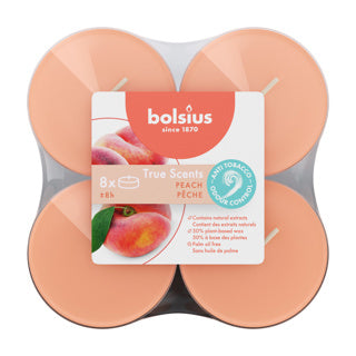 Bolsius maxilichten clear cup 8u true scents peach