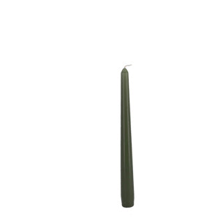 Bolsius gotische kaarsen 245 24 doos 4 fresh olive