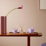 Bolsius giftset theelichten