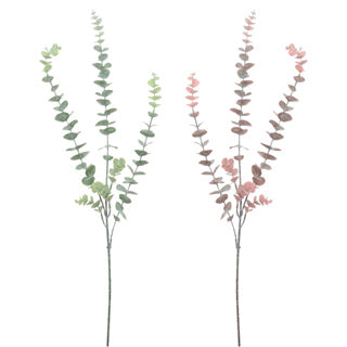 No brand eucalyptus spray l 78cm