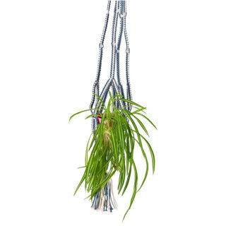 No brand in the mood collection pothouder blauw macrame 110 cm