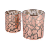 No brand ptmd windlicht desiree giraffeprint roze 10 cm