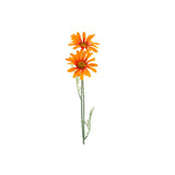 No brand kunst bloem madeliefje oranje zijde 56 cm