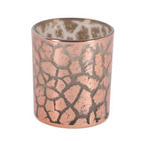 No brand ptmd windlicht desiree giraffeprint roze 8 cm
