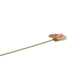 No brand kunstbloem anthurium 58 cm countryfield