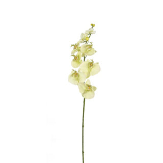 No brand kunst bloem orchidee creme 85 cm