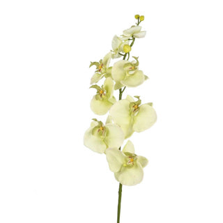 Kunst bloem orchidee creme 85 cm