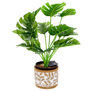 No brand pot olea cylinder bruin 11 cm