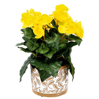 No brand pot olea cylinder bruin 11 cm