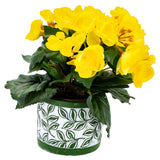 No brand pot olea cylinder groen 11 cm