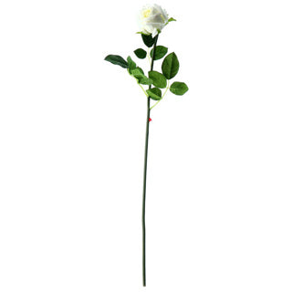 No brand kunstbloem rozentak creme 56 cm