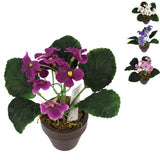 No brand kunstplant in pot kaaps viooltje 16 cm 4 assorti
