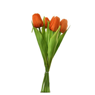 Tulp boeket 7 tulpen 35 cm assorti